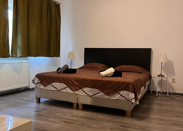 Cozy 公寓 布加勒斯特